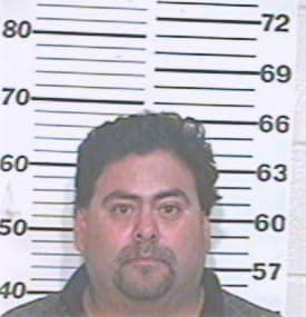Aleman Pedro - Hidalgo County, TX 
