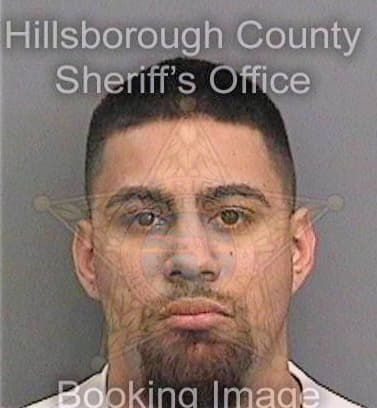 Sauceda Raul - Hillsborough County, FL 