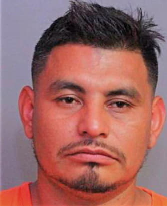 Lino-Guerra Angel - Polk County, FL 