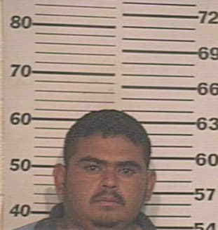 Lopez David - Hidalgo County, TX 