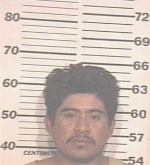 Mercado Faustino - Hidalgo County, TX 