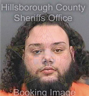 Mirabal Idael - Hillsborough County, FL 