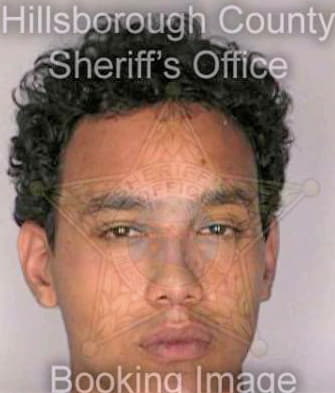 Venza Jared - Hillsborough County, FL 