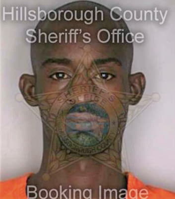 Gibson Jerome - Hillsborough County, FL 