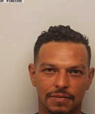 Rodriguez-Melgajero Ramiro - Chatham County, GA 