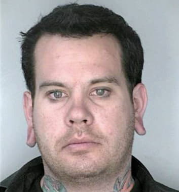 Carey Christopher - Hillsborough County, FL 