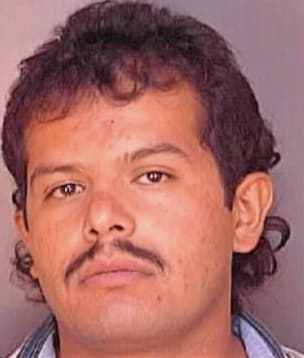 Lopez Ciro - Polk County, FL 