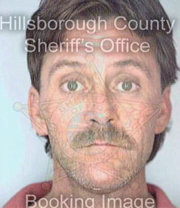 Langan Thomas - Hillsborough County, FL 