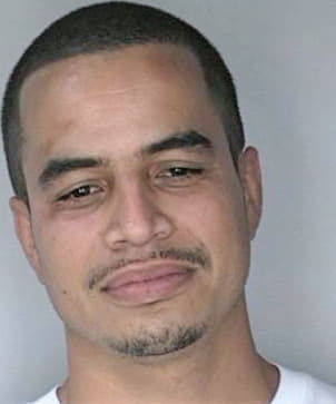 Perez Davis - Hillsborough County, FL 
