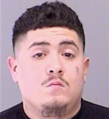 Carmona Jay - Brazos County, TX 