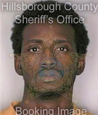 Horton Jeffrey - Hillsborough County, FL 