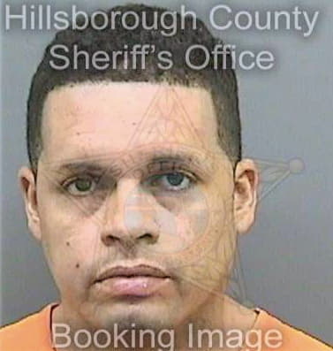 Rodriguez Joel - Hillsborough County, FL 