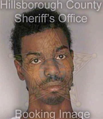 Williams Lapolia - Hillsborough County, FL 