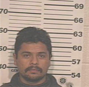 Garza Mario - Hidalgo County, TX 