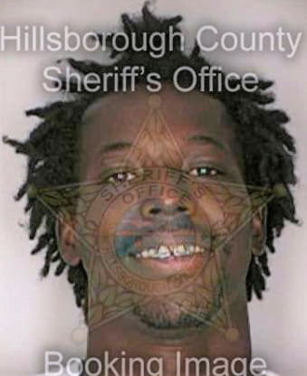 Johnson Marvin - Hillsborough County, FL 