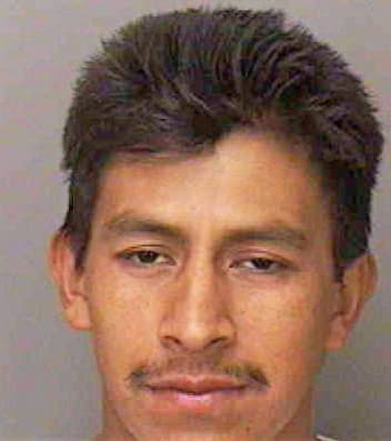 Demiguel-Martinez Miguel - Polk County, FL 