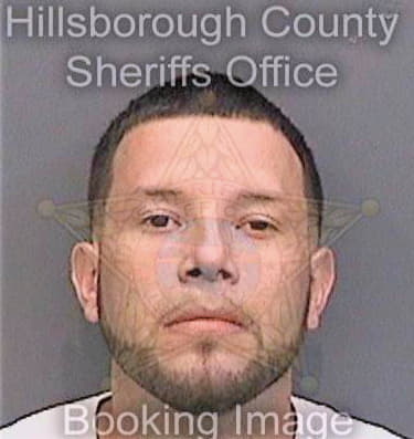 Villegasrestrepo Gabriel - Hillsborough County, FL 