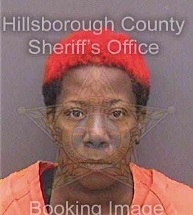 Fuller Lisa - Hillsborough County, FL 