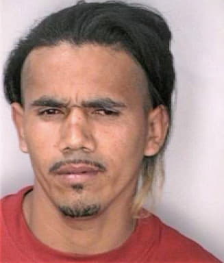 Ramos Ronaldo - Hillsborough County, FL 