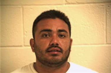 Hernandez Brady - Hidalgo County, TX 