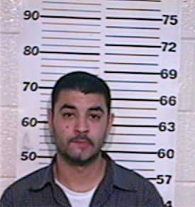 Deleon Dionicio - Hidalgo County, TX 