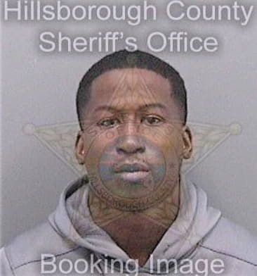 Henderson Eric - Hillsborough County, FL 