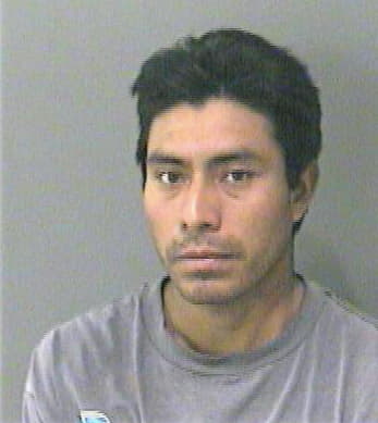 Mendoza Ramiro - Gwinnett County, GA 