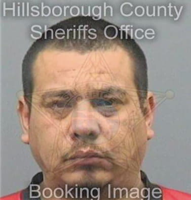 Garcia Aaron - Hillsborough County, FL 