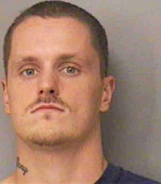 Sullivan Daniel - Polk County, FL 