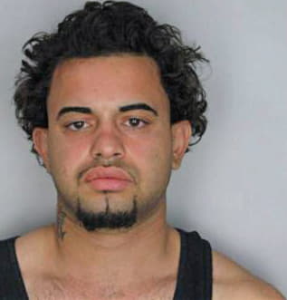 Vega David - Hillsborough County, FL 