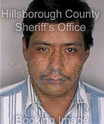 Perezgomez Vidal - Hillsborough County, FL 