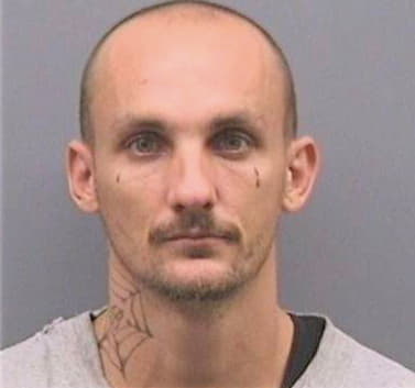 Breier Wayne - Hillsborough County, FL 