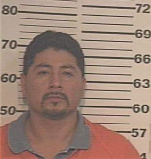 Saucedo Armando - Hidalgo County, TX 