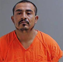 Alvarado Aurelio - Hidalgo County, TX 