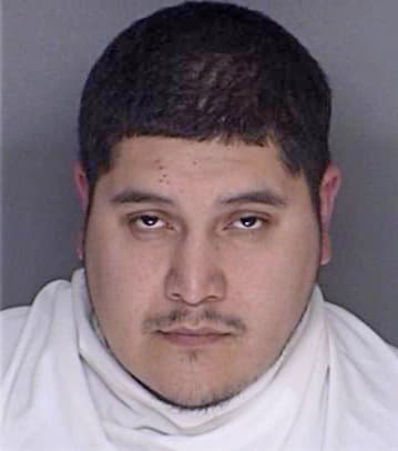 Gonzalez Cesar - Ellis County, TX 