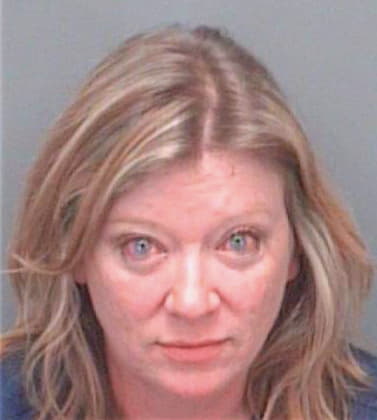Schumacher Diane - Pinellas County, FL 