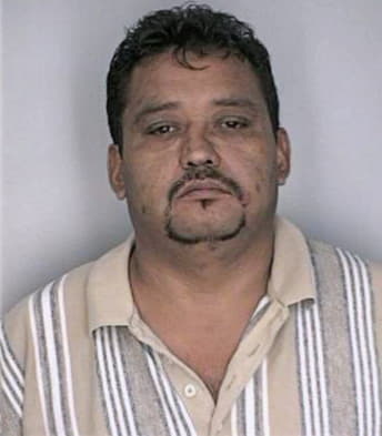Hernandez Maximino - Hillsborough County, FL 