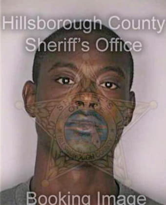Baldwin Anthony - Hillsborough County, FL 