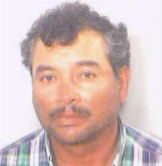 Mata Enrique - Fulton County, GA 