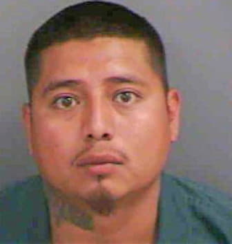 Gomez Marco - Collier County, FL 
