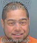 Delgado Negron - Pinellas County, FL 