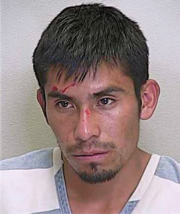 Reyes Domingo - Marion County, FL 