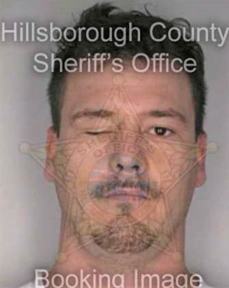 Orso Dominic - Hillsborough County, FL 