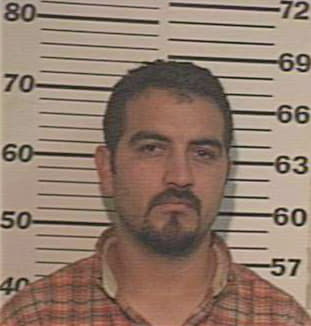 Alaniz Juan - Hidalgo County, TX 