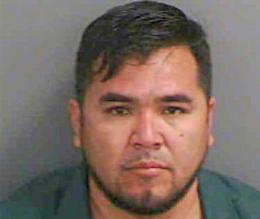 Alvilaosario Mario - Collier County, FL 