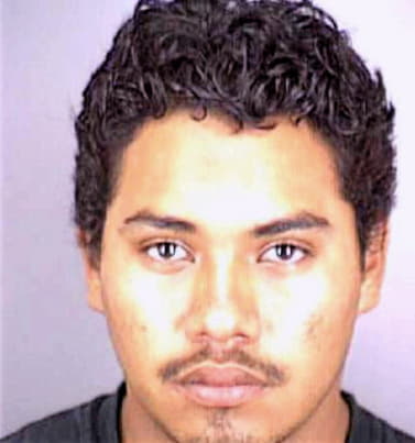 Hernandez Miguel - Collier County, FL 