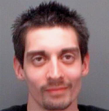 Gonzalez David - Pinellas County, FL 