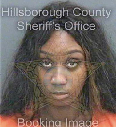 Garard De - Hillsborough County, FL 