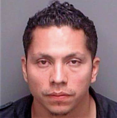 Ortega Marlon - Pinellas County, FL 
