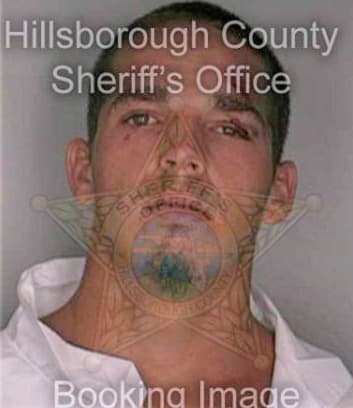 Williams Shane - Hillsborough County, FL 